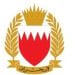 وزارة الدفاع البحرينية تعلن اعتراض وتدمير 102 صاروخ و171 مسيرة
