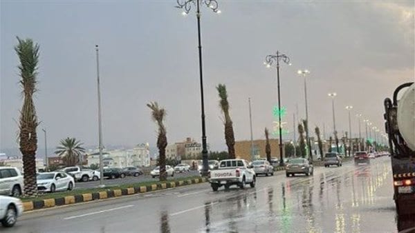 طقس السعودية.. أمطار رعدية غزيرة ورياح مثيرة للأتربة 