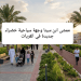 ممشى ابن سينا