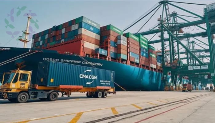 موانئ السعودية وتطوير البنية التحتية