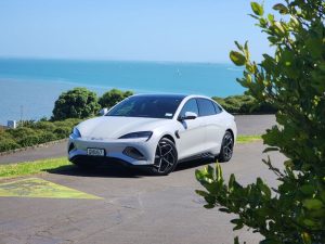 بي واي دي سيل 2025 فئة Performance AWD: الأداء الرياضي الخارق والدفع الرباعي