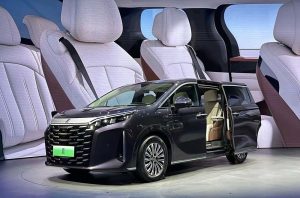 بي واي دي شيا 2025 فئة Leading: خيار العائلات الفاخرة والقيمة الاستثنائية