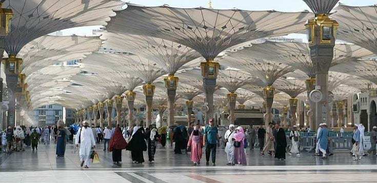 المدينة المنورة تودّع أفواج الحجاج بانسيابية وتنظيم عالي