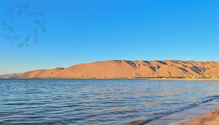 بلدية حقل تهيئ المتنزهات والشواطئ بخطة شاملة للصيف
