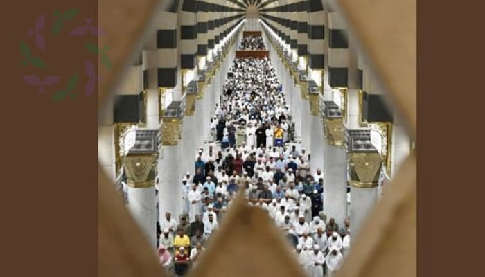 ضيوف الرحمن يتوافدون إلى المسجد النبوي ضمن منظومة تشغيلية متكاملة