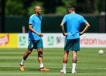 إيبانيز وفابينيو مع البرازيل