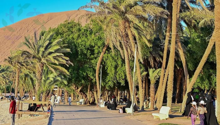 بلدية حقل تهيئ المتنزهات والشواطئ