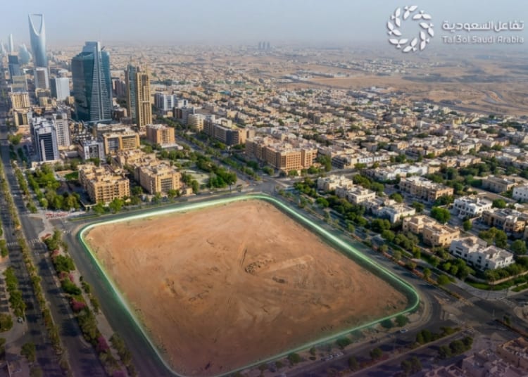 رسوم الأراضي البيضاء