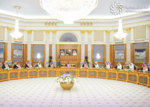 نظام إيرادات الدولة