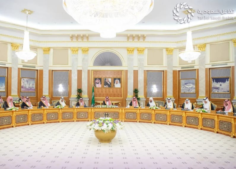 نظام إيرادات الدولة