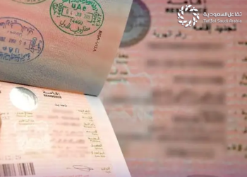 الاستعلام عن صدور تأشيرة من القنصلية السعودية برقم الجواز