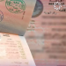 الاستعلام عن صدور تأشيرة من القنصلية السعودية برقم الجواز