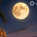 قمر الرطب