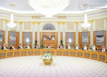 نظام إيرادات الدولة
