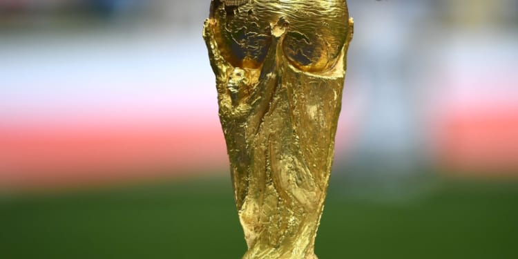وزن كأس العالم