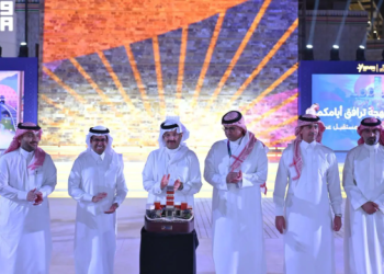 مشروع سفن