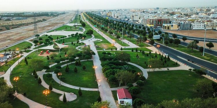 163 حديقة عامة وساحة بلديّة.. منطقة تبوك تستعد لاستقبال الزوار خلال الشتاء