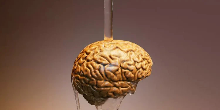 أمل جديد.. علاج واعد لأخطر أنواع سرطان الدماغ