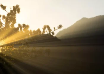 كيف يؤثر الضوء  على صحتك العقلية؟.. دراسة جديدة تكشف