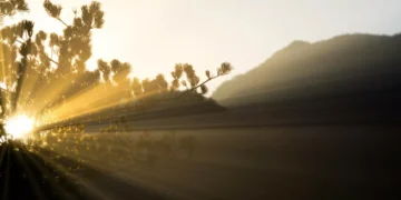 كيف يؤثر الضوء  على صحتك العقلية؟.. دراسة جديدة تكشف