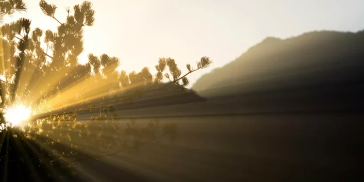 كيف يؤثر الضوء على صحتك العقلية؟.. دراسة جديدة تكشف