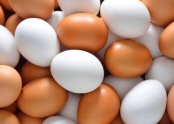 دراسة: تناول بيضتين إلى 4 أسبوعياً يخفض مستويات الكوليسترول في الدم