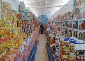 يستعرض 50 منتجا.. معرض يوم الغذاء العضوي يثري القطاع الزراعي بالمملكة