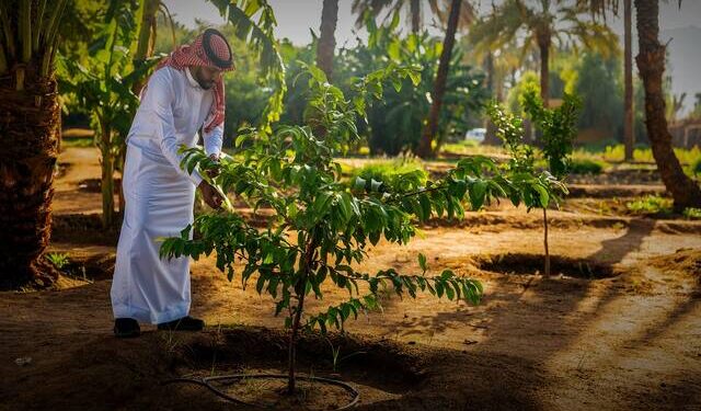 الرياض تستضيف النسخة الرابعة من منتدى مبادرة السعودية الخضراء في المنطقة الخضراء بمؤتمر COP16 ديسمبر القادم