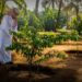 الرياض تستضيف النسخة الرابعة من منتدى مبادرة السعودية الخضراء في المنطقة الخضراء بمؤتمر COP16 ديسمبر القادم