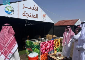 انطلاق مزاد المدينة المنورة الأول للإبل بمحافظة الحناكية