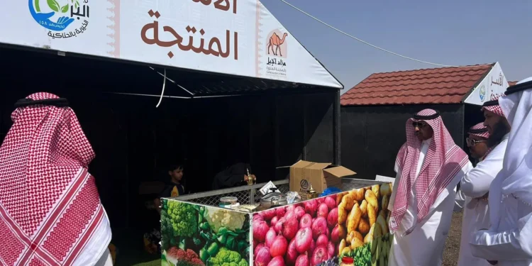 انطلاق مزاد المدينة المنورة الأول للإبل بمحافظة الحناكية