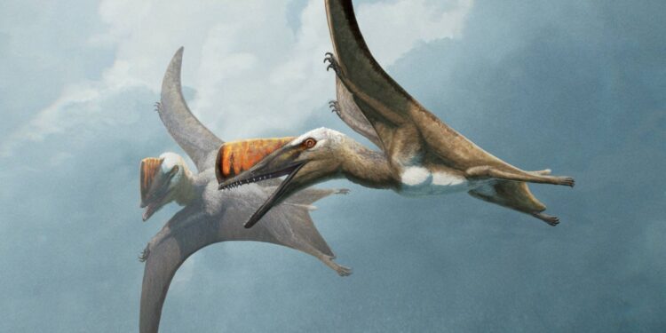 «ذيل السيف»... حفرية تكشف عن تاريخ زواحف طائرة عاشت قبل 147 مليون سنة