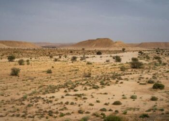 ثياو قبل «كوب 16»: العالم يحتاج 355 مليار دولار سنوياً لمكافحة التصحر