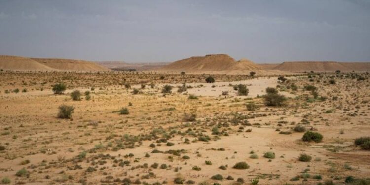 ثياو قبل «كوب 16»: العالم يحتاج 355 مليار دولار سنوياً لمكافحة التصحر