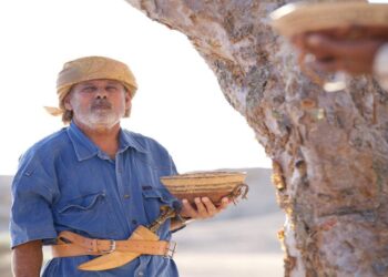 غداً .. انطلاق فعاليات موسم اللبان الثالث بمحافظة ظفار