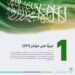 إنجاز جديد.. المملكة تتصدر الدول العربية في مؤشر الأداء الإحصائي في عام 2023