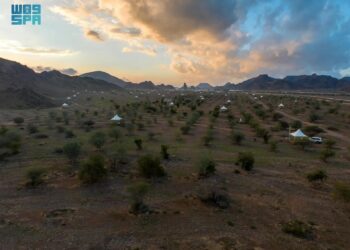 "الغطاء النباتي" يعلن بدء استقبال طلبات الاستثمار الموسمي في عددٍ من المتنزهات بمنطقة المدينة المنورة