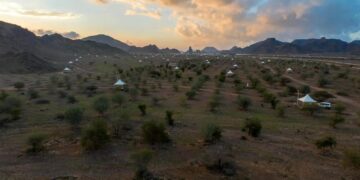 "الغطاء النباتي" يعلن بدء استقبال طلبات الاستثمار الموسمي في عددٍ من المتنزهات بمنطقة المدينة المنورة