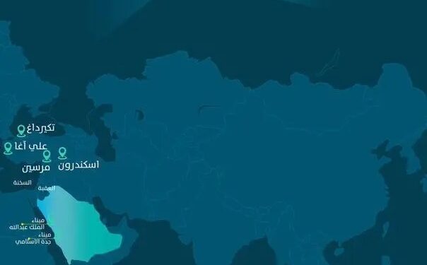 بطاقة 6000 حاوية قياسية.. موانئ تضيف خدمة شحن جديدة لميناء جدة الإسلامي