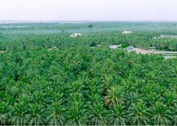 محافظة الأحساء