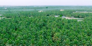 محافظة الأحساء