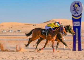 انطلاق الحفل الأول لموسم سباقات الخيل بالمدينة المنورة 29 نوفمبر الحالي