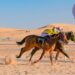انطلاق الحفل الأول لموسم سباقات الخيل بالمدينة المنورة 29 نوفمبر الحالي