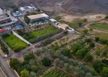 المزارع السياحية بالباحة.. وجهة مثالية لعشاق الطبيعة