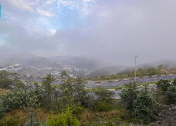 سحر الطبيعة تحت غطاء الضباب .. مشهد يأسر الأنظار بمنطقة الباحة