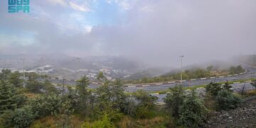 سحر الطبيعة تحت غطاء الضباب .. مشهد يأسر الأنظار بمنطقة الباحة