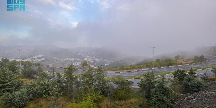 سحر الطبيعة تحت غطاء الضباب .. مشهد يأسر الأنظار بمنطقة الباحة