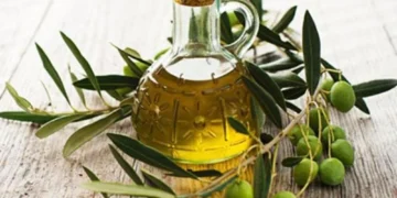 "التعبئة والفلترة والتخزين".. نصائح من "الإرشاد" للحفاظ على "جودة زيت الزيتون"