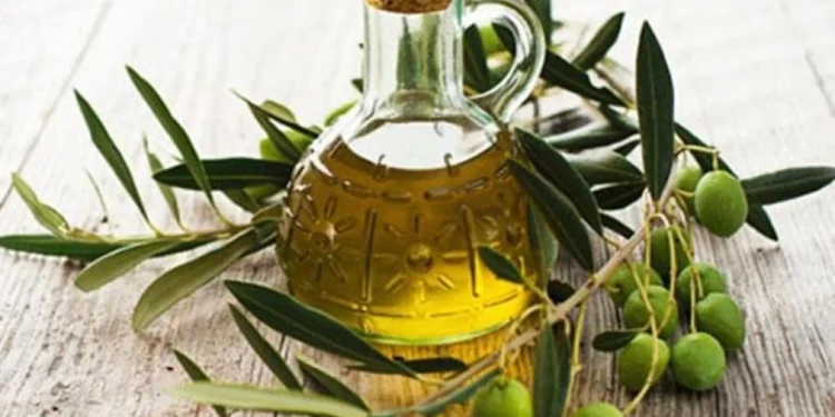 "التعبئة والفلترة والتخزين".. نصائح من "الإرشاد" للحفاظ على "جودة زيت الزيتون"