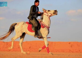 رياضة ركوب الخيل ورعايتها .. موروث شعبي يستهوي أهالي طريف